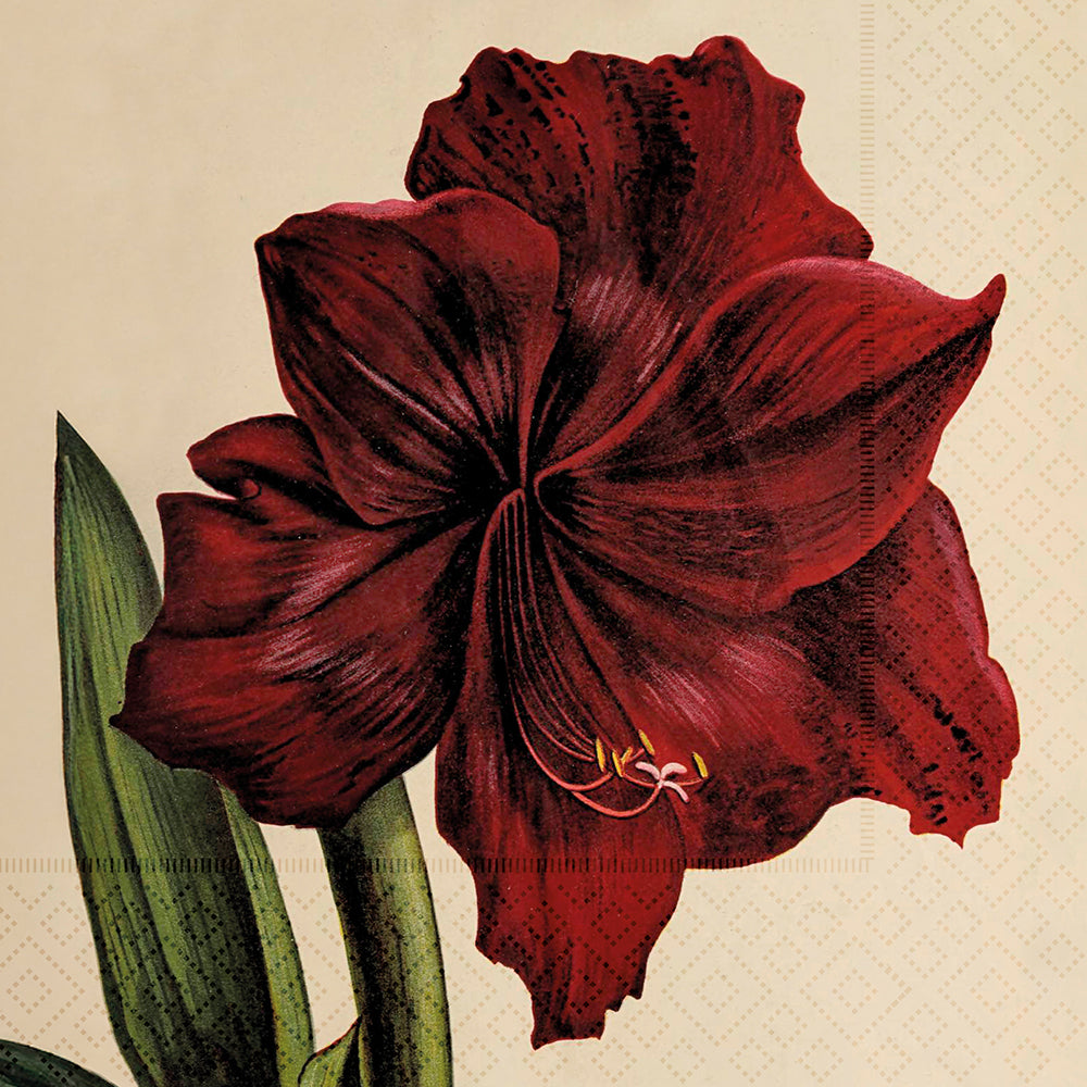 Amaryllis Servietter