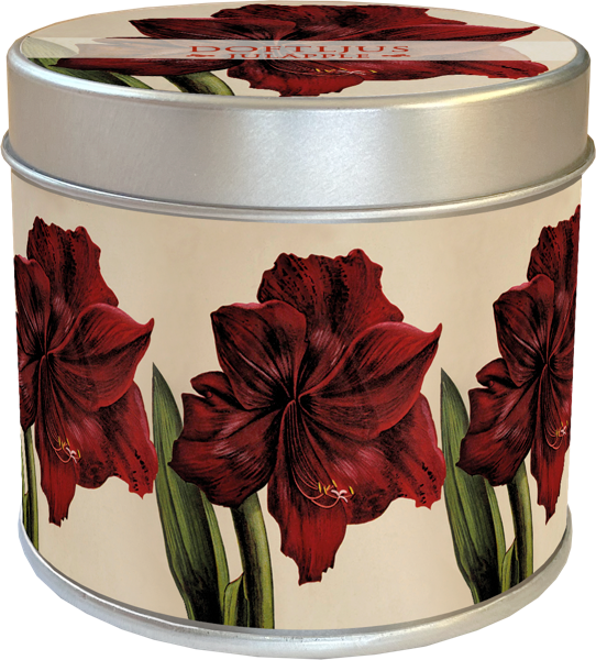 Duft lys Soya - med duft af jul og æble.