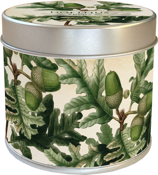 Duft lys - Soya - Skov.