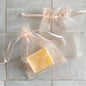 Organza Poser Medium 9x12 cm
