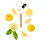 Økologisk krydderblyant med citron 🍋