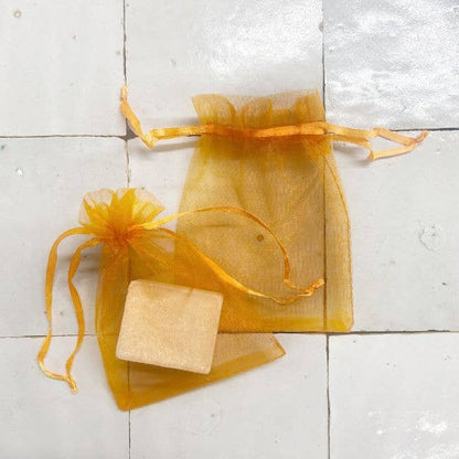 Organza Poser Medium 9x12 cm