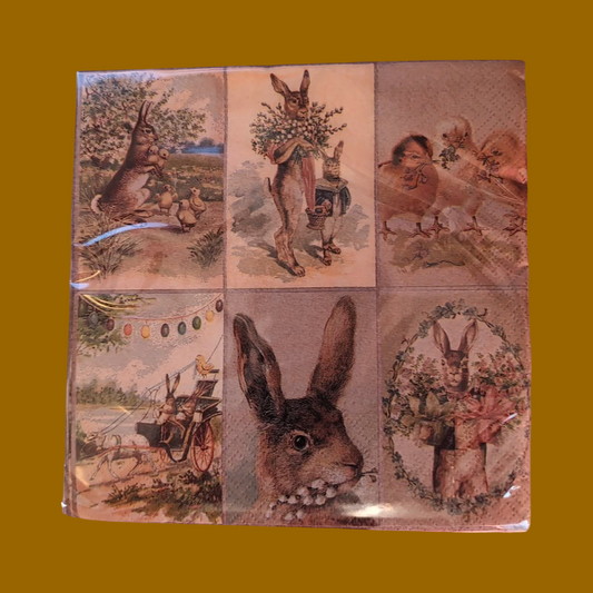 Smukke påske servietter🐰🥚🐣🌷