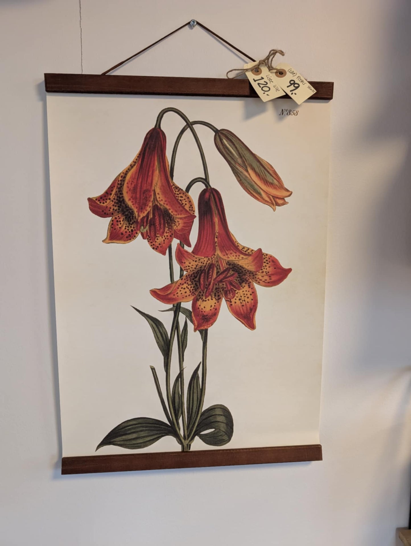 Rammer med magnet lukning - mellem 50 cm