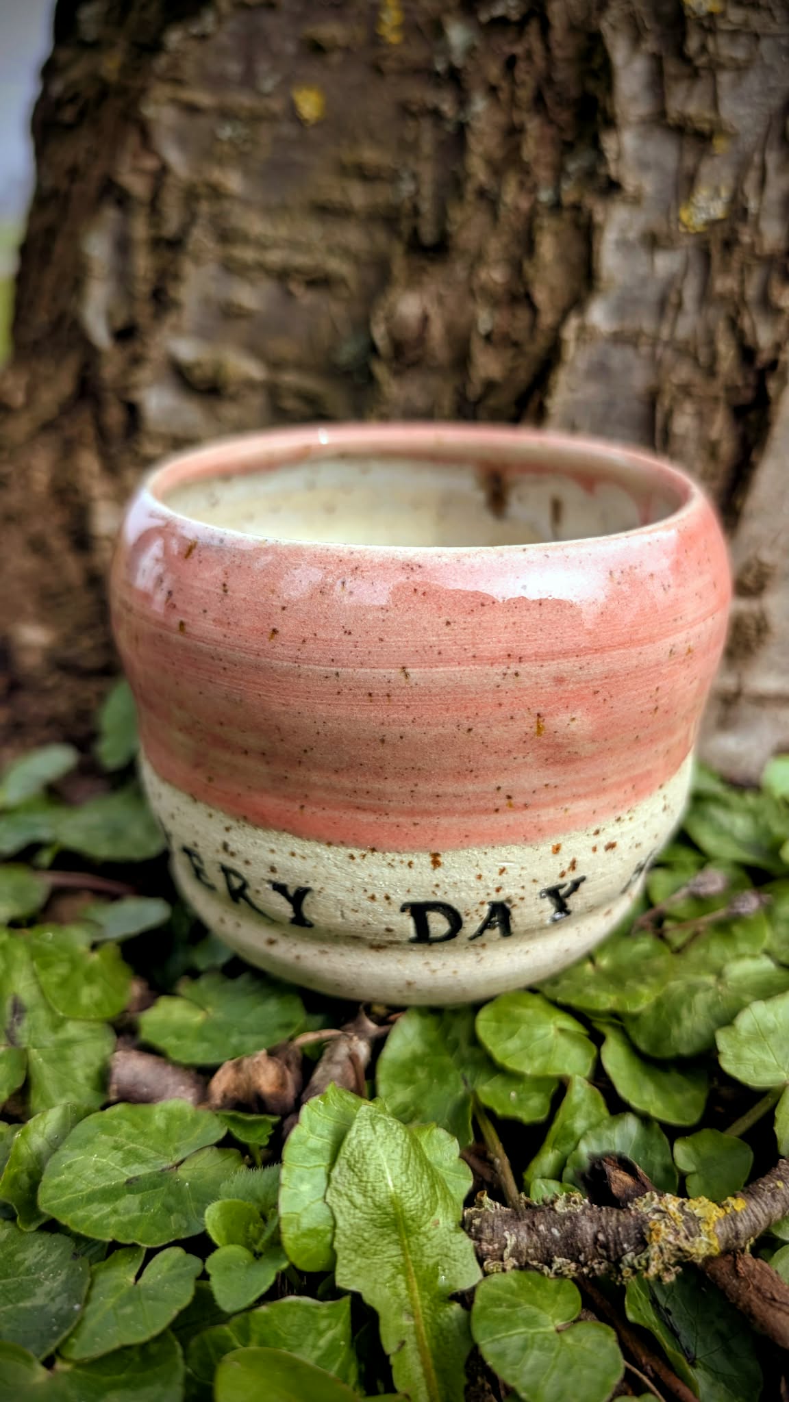 Citat kop - Every day holds a new wonder