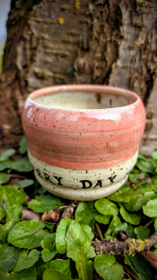 Citat kop - Every day holds a new wonder