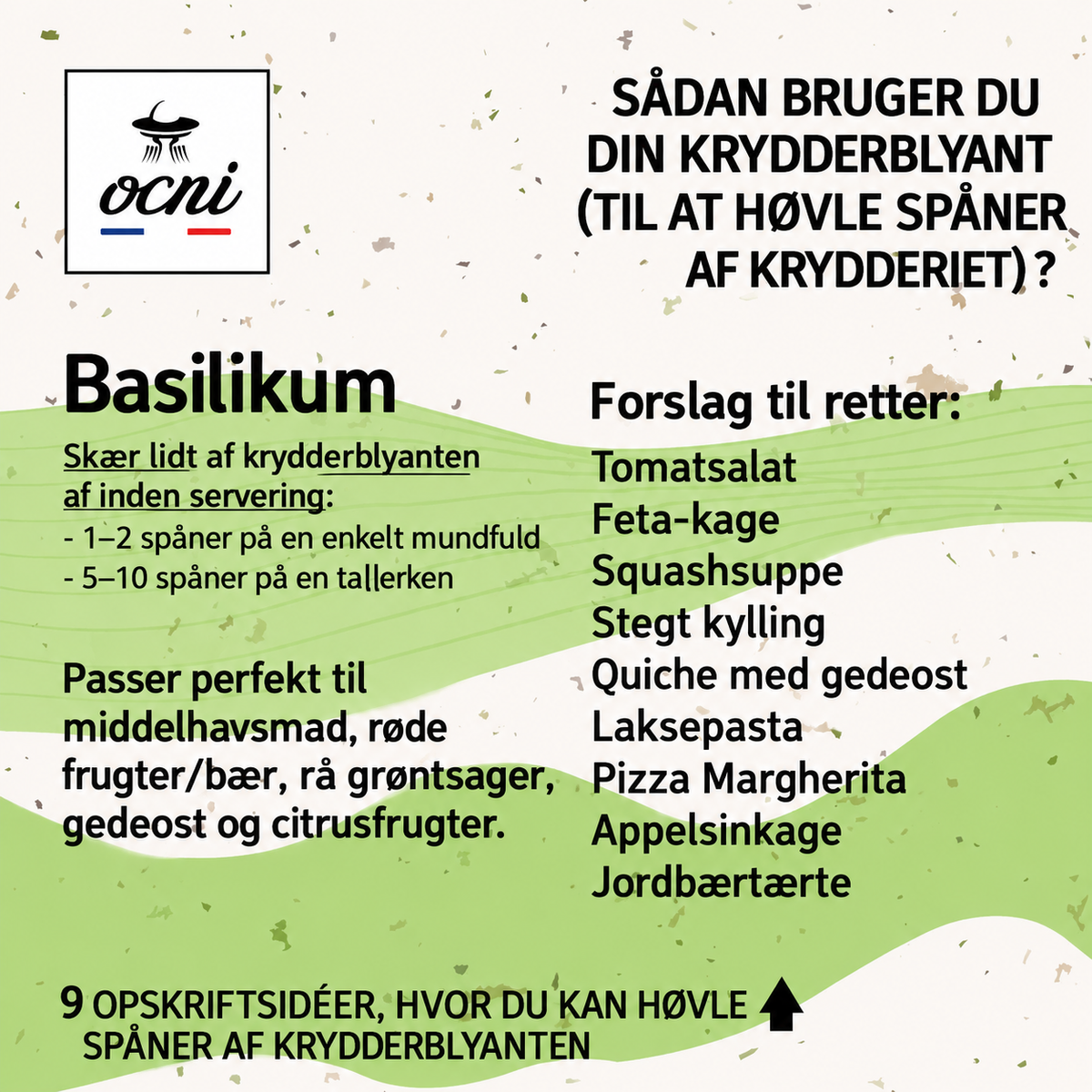 Økologisk krydderblyant med basilikum 🌿
